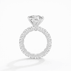 Unus 4-Carat Moissanite Ring in Platinum 950 | Full Eternity Cathedral Design alternate view
